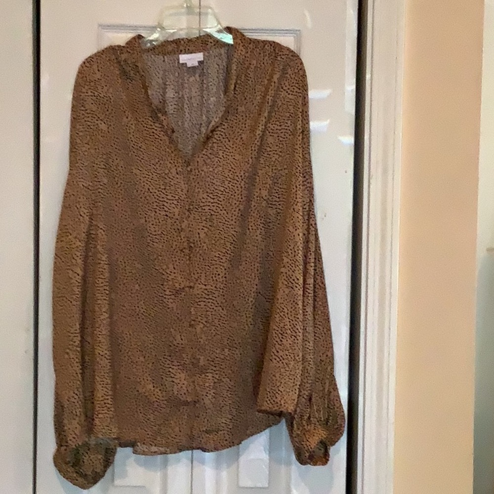 Women's Brown Printed V-Neck Blouse 3X